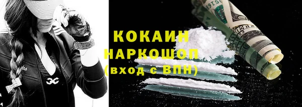 прущие грибы Абинск