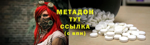 прущие грибы Абинск