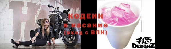 прущие грибы Абинск