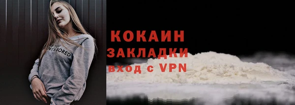 прущие грибы Абинск