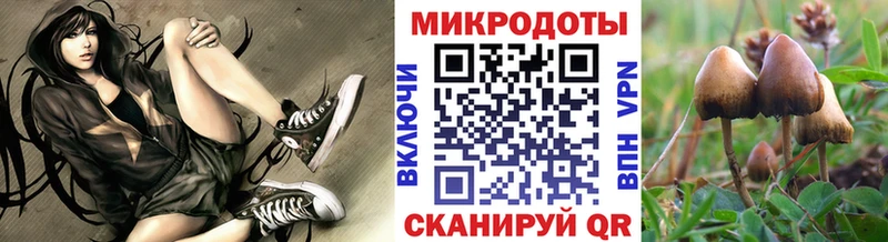 Псилоцибиновые грибы Psilocybe  MEGA онион  Анадырь 